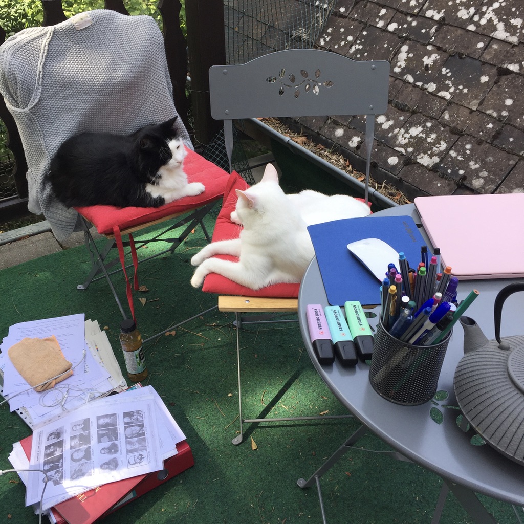 Prince Igor et Ebène, les 2 chats, installés à ma place sur la terrasse. Photo by Cendrine Miesch