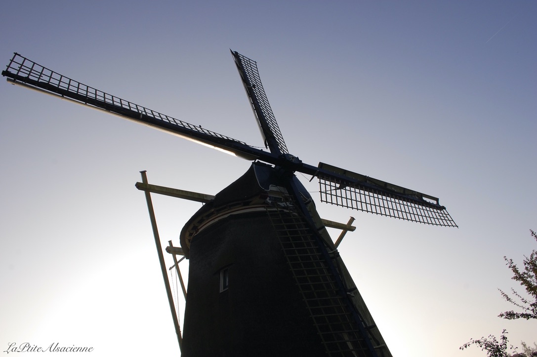 Amsterdam Le moulin - Photo by Cendrine Miesch - LaPtiteAlsacienne