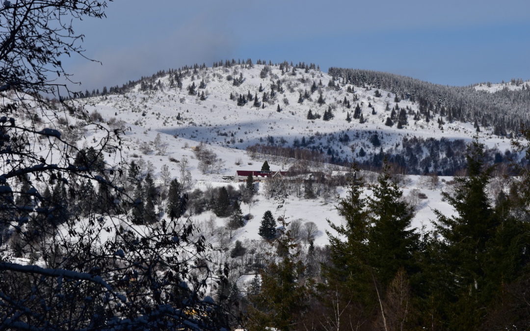 Vallée de Murbach sous la neige - Randonner en solo - Photo janvier 2021 - Cendrine Miesch Dite LaPtiteAlsacienne