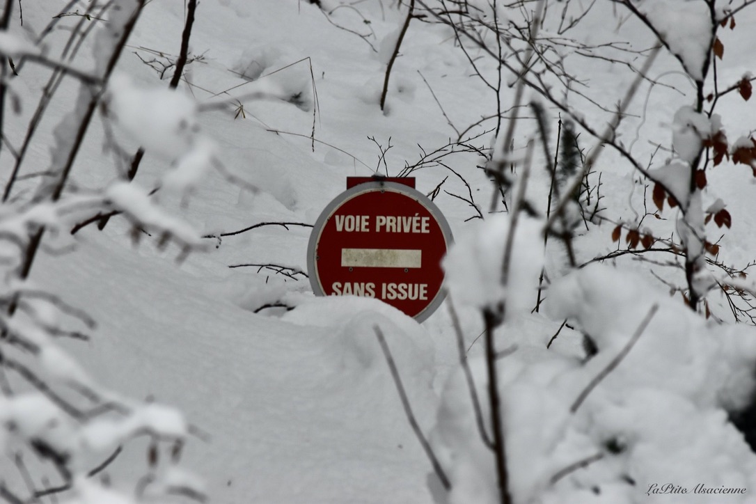 Chemin de randonnée dans les Vosges alsaciennes, sous la neige - Janvier 2021 - Cendrine Miesch dite LaPtiteAlsacienne