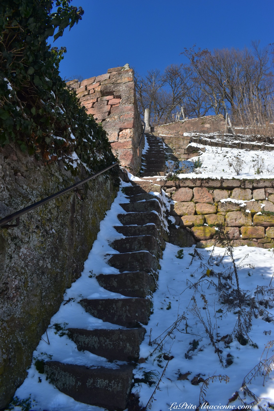 Montée dans le vignoble vers la croix de la mission par un escalier - Photo by Cendrine Miesch dite LaPtiteAlsacienne