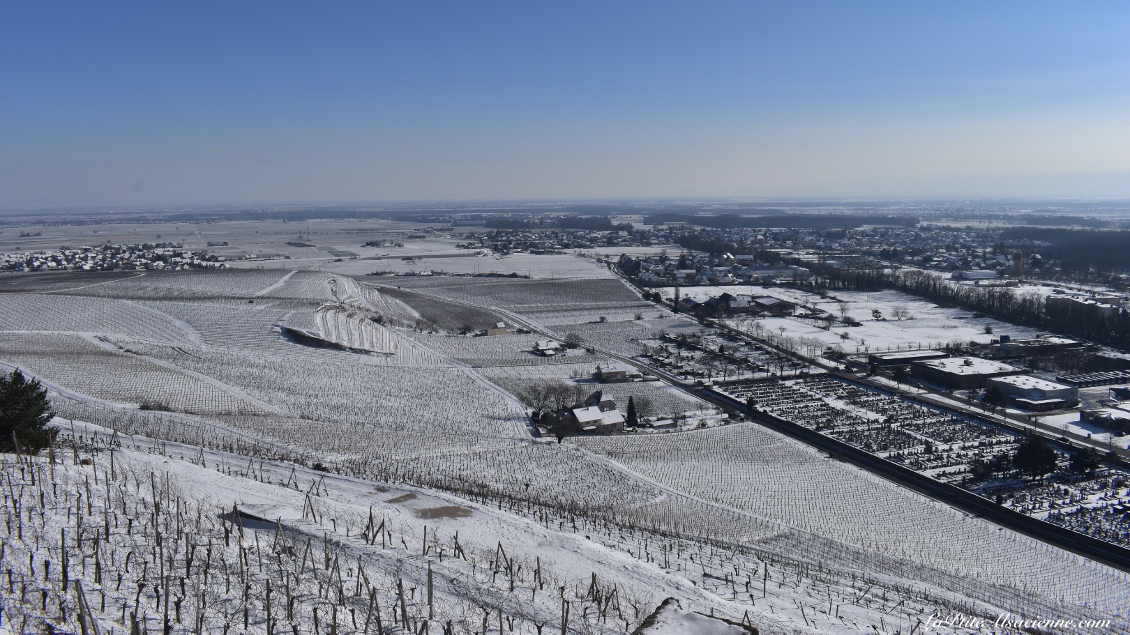 Vue sur la plaine d'Alsace depuis le vignoble de Guebwiller. Photo by Cendrine Miesch dite LaPtiteAlsacienne