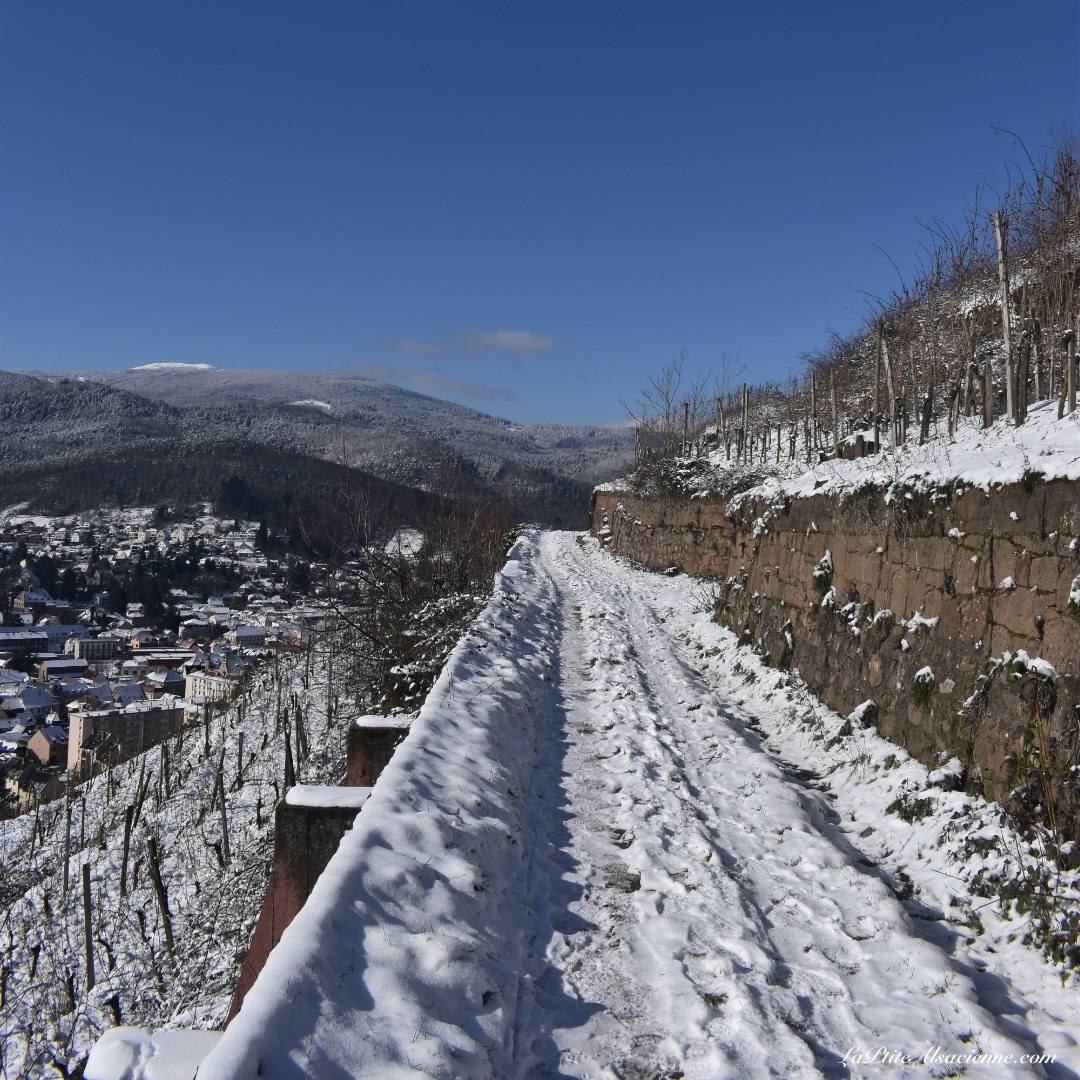 Vignoble de Guebwiller sous la neige - 11 février 2021 - Photo by Cendrine Miesch dite LaPtiteAlsacienne