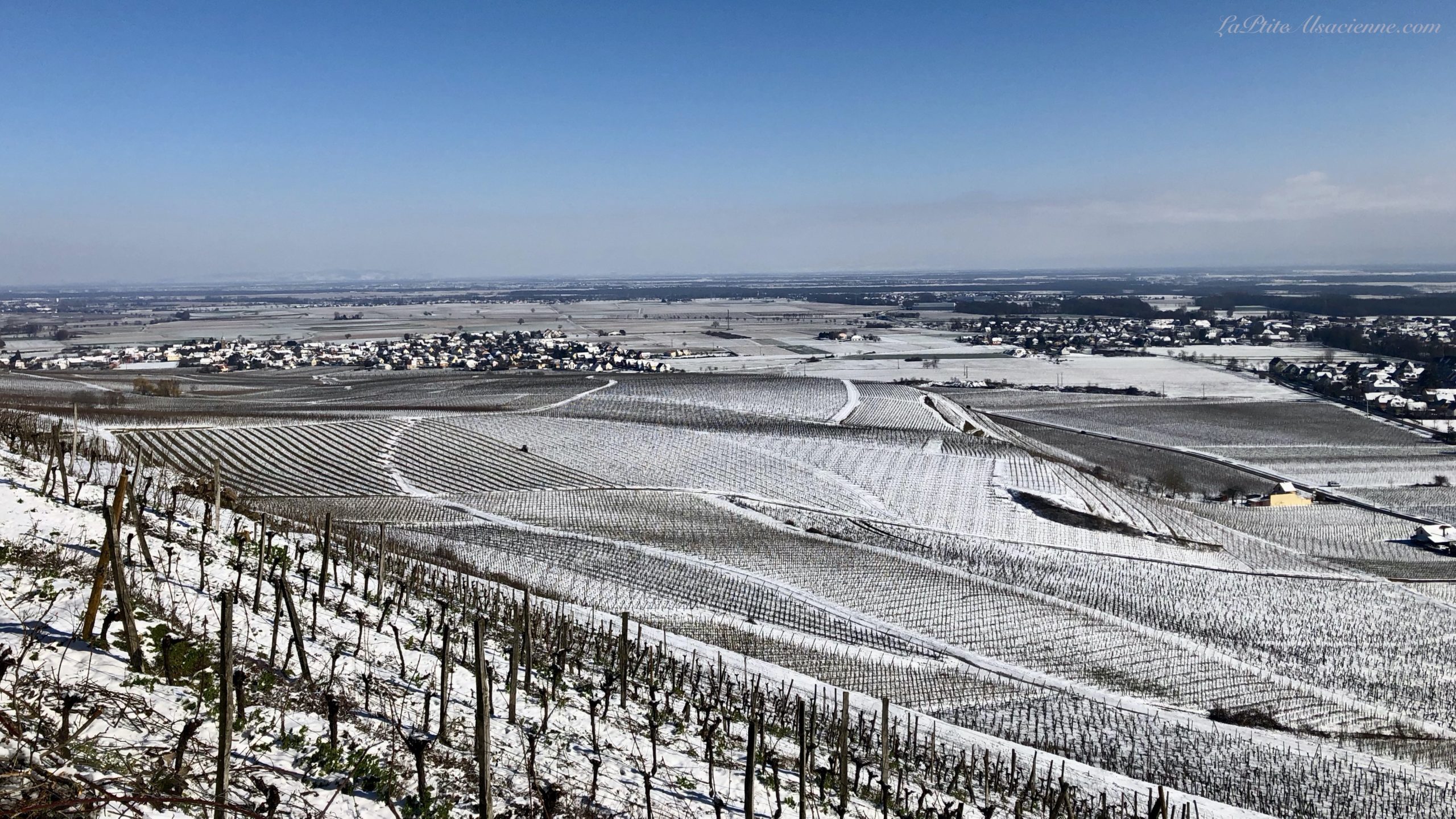 Vignoble de Guebwiller sous la neige - Photo de Cendrine Miesch dite LaPtiteAlsacienne