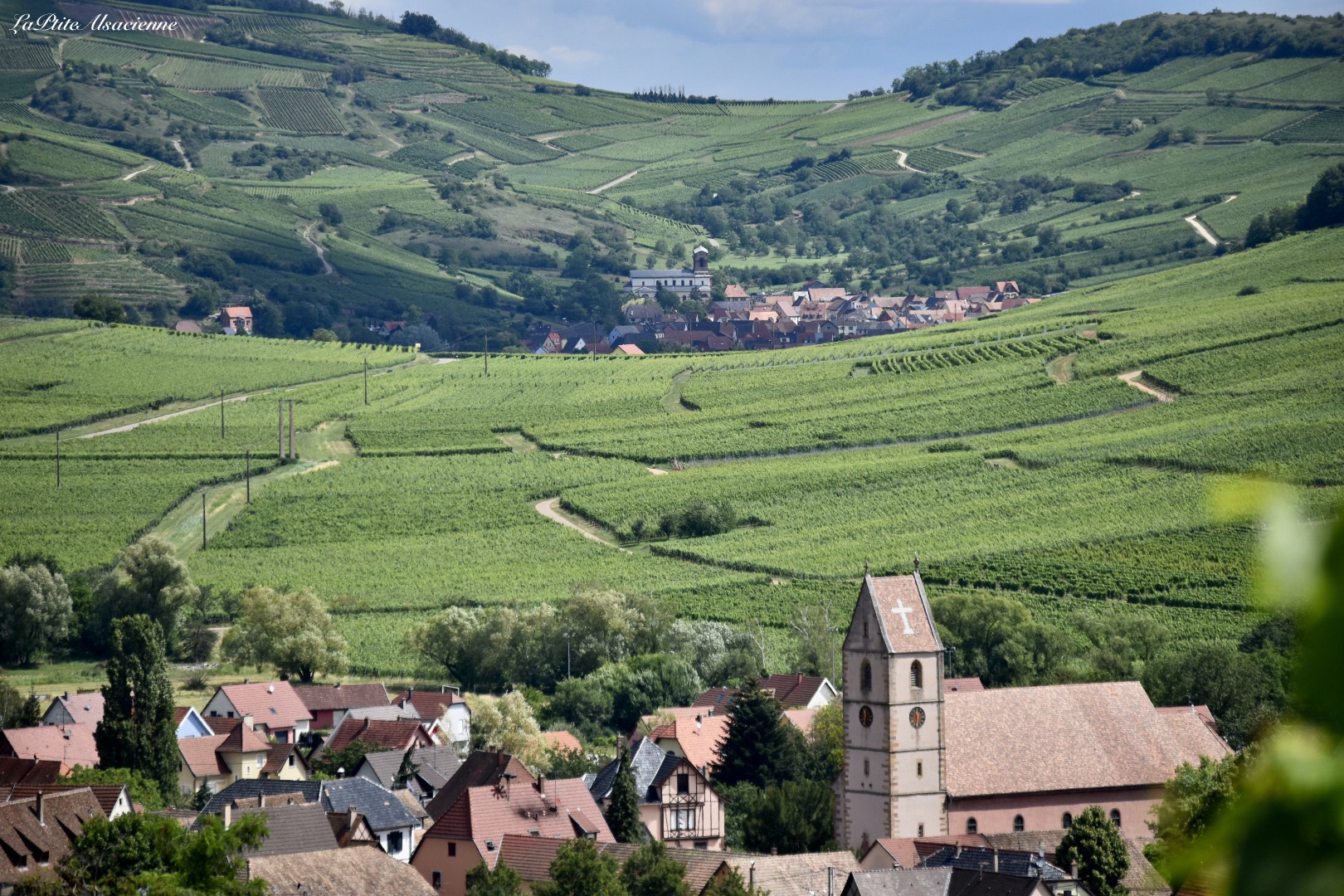 Depuis le vignoble, vue sur Orschwihr et Westhalten, 2 villages réputés pour leurs vins d'Alsace - Cendrine Miesch dite LaPtiteAlsacienne