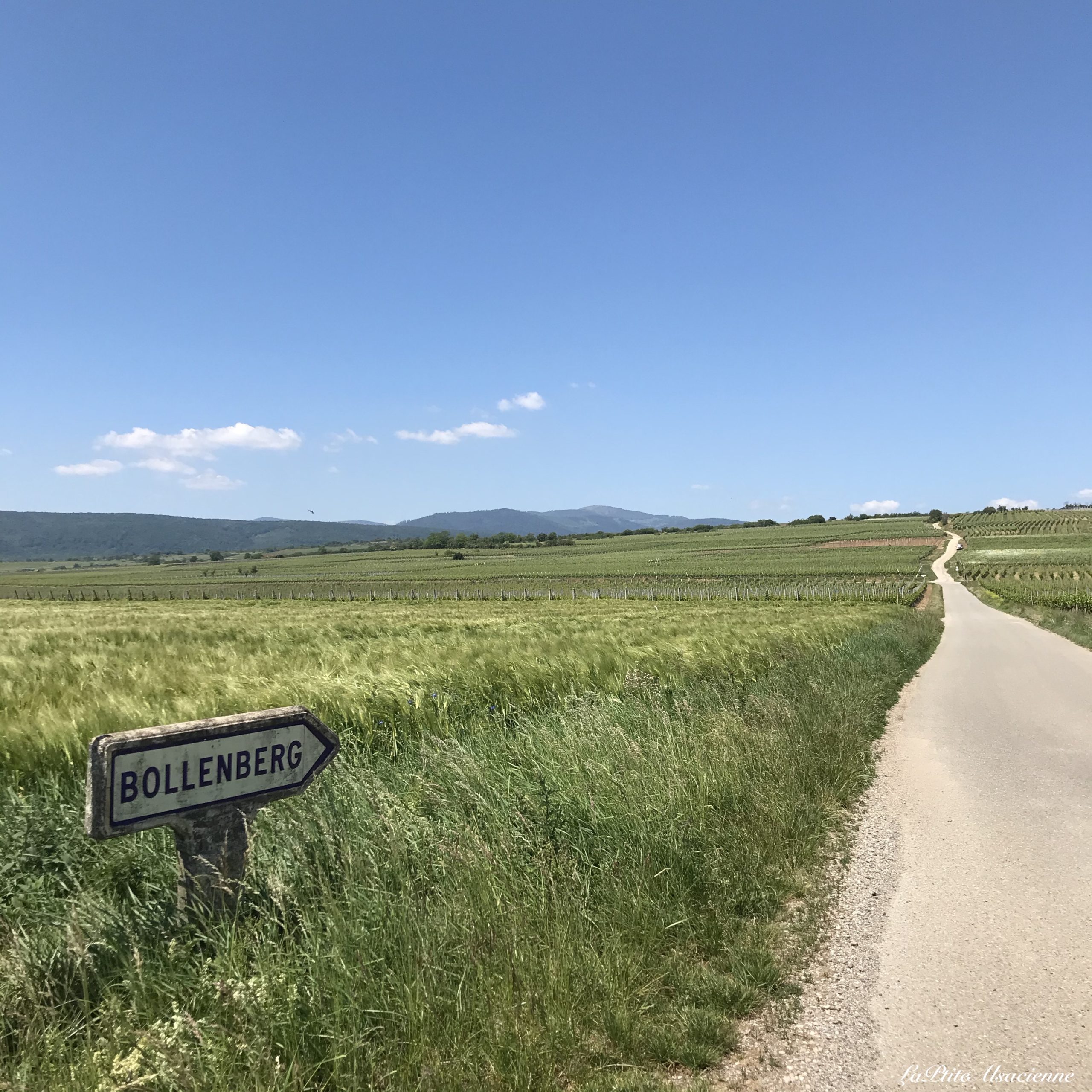 Entre champs et vignoble, au loin la Chapelle du Bollenberg  et le Petit Ballon - Photo by Cendrine Miesch dite LaPtiteAlsacienne