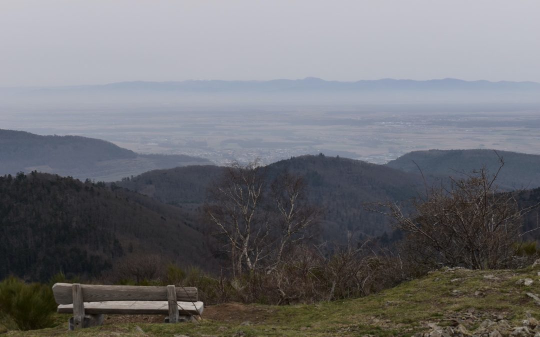 Ebeck et sa vue sur plaine alsace