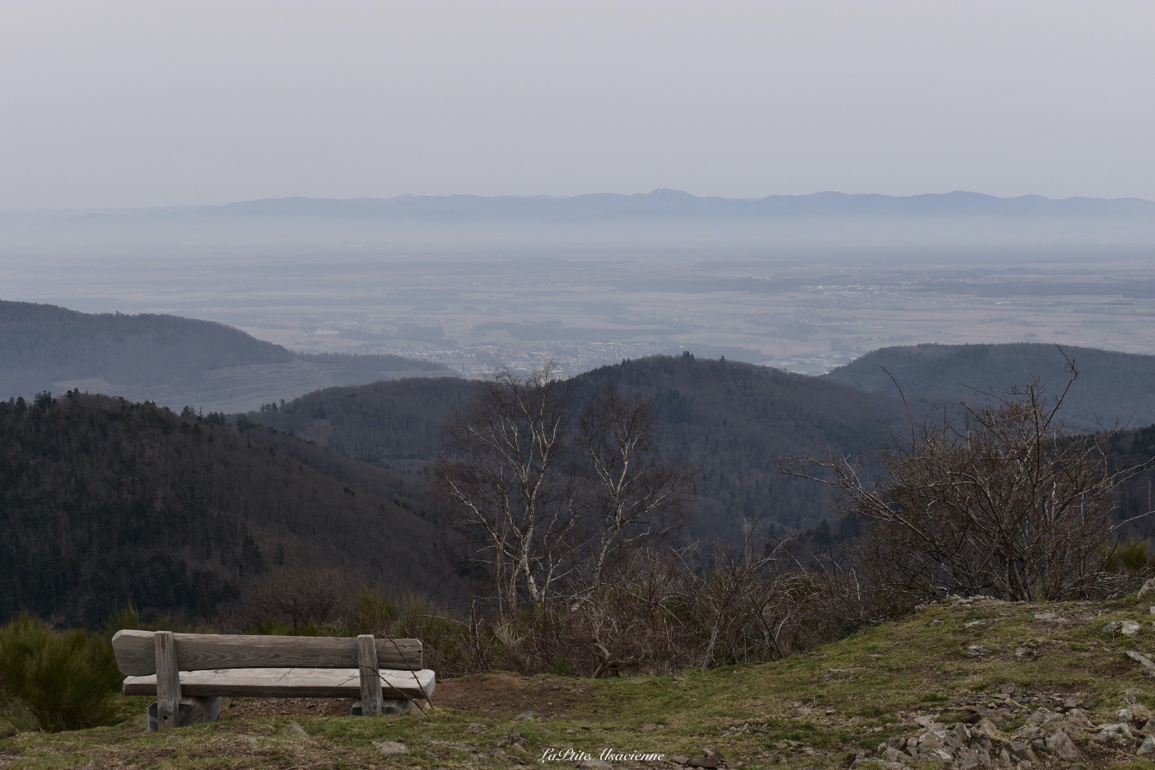 Ebeck et sa vue sur plaine alsace