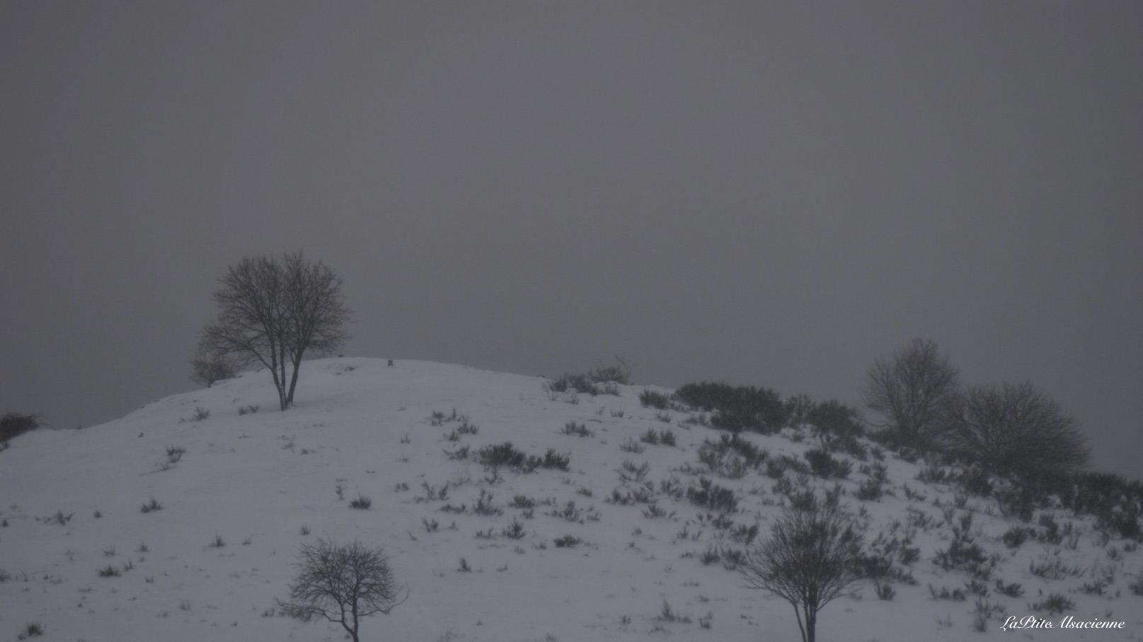 L'Ebeneck sous la neige. La plaine n'est pas visible avec ces nuages. Photo de Cendrine Miesch pour le blog de LaPtiteAlsacienne