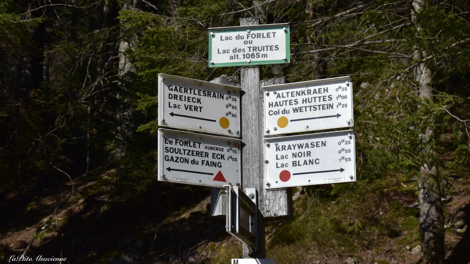 Panneau directionnel du Club Vosgien au Lac du Forlet 