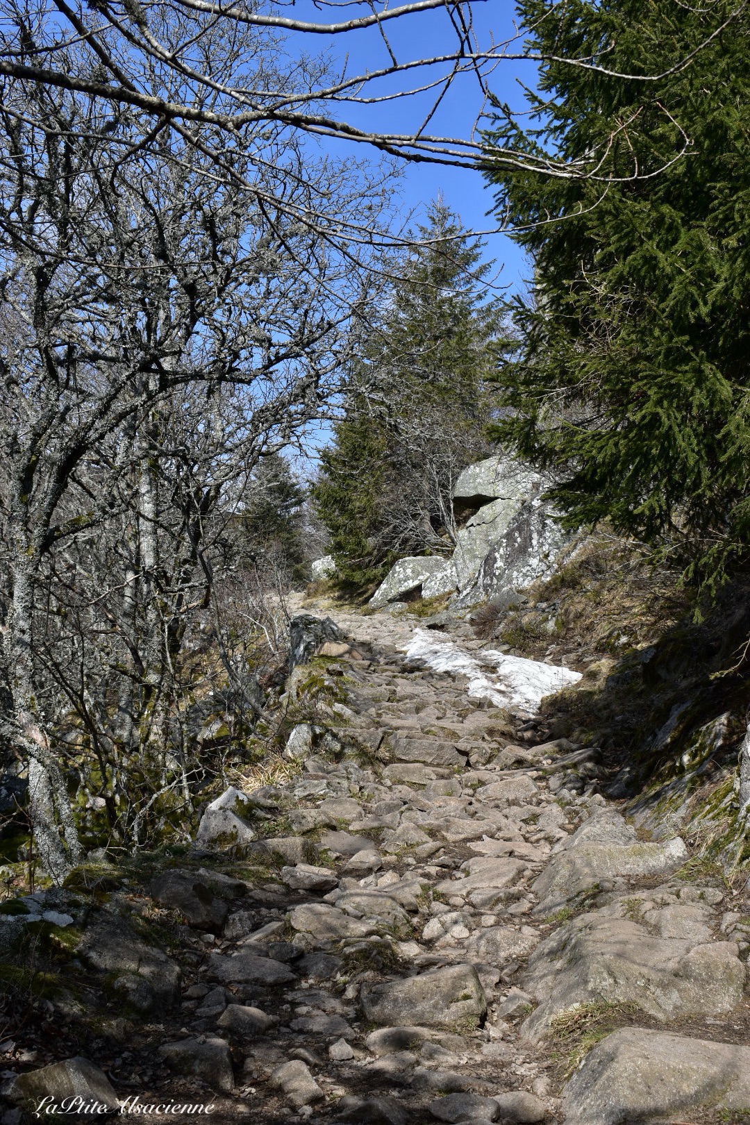 sentier direction Le Petit Hohneck, le Hohneck et le col du Schaefertal - Photo by Cendrine Miesch dite LaPtiteAlsacienne