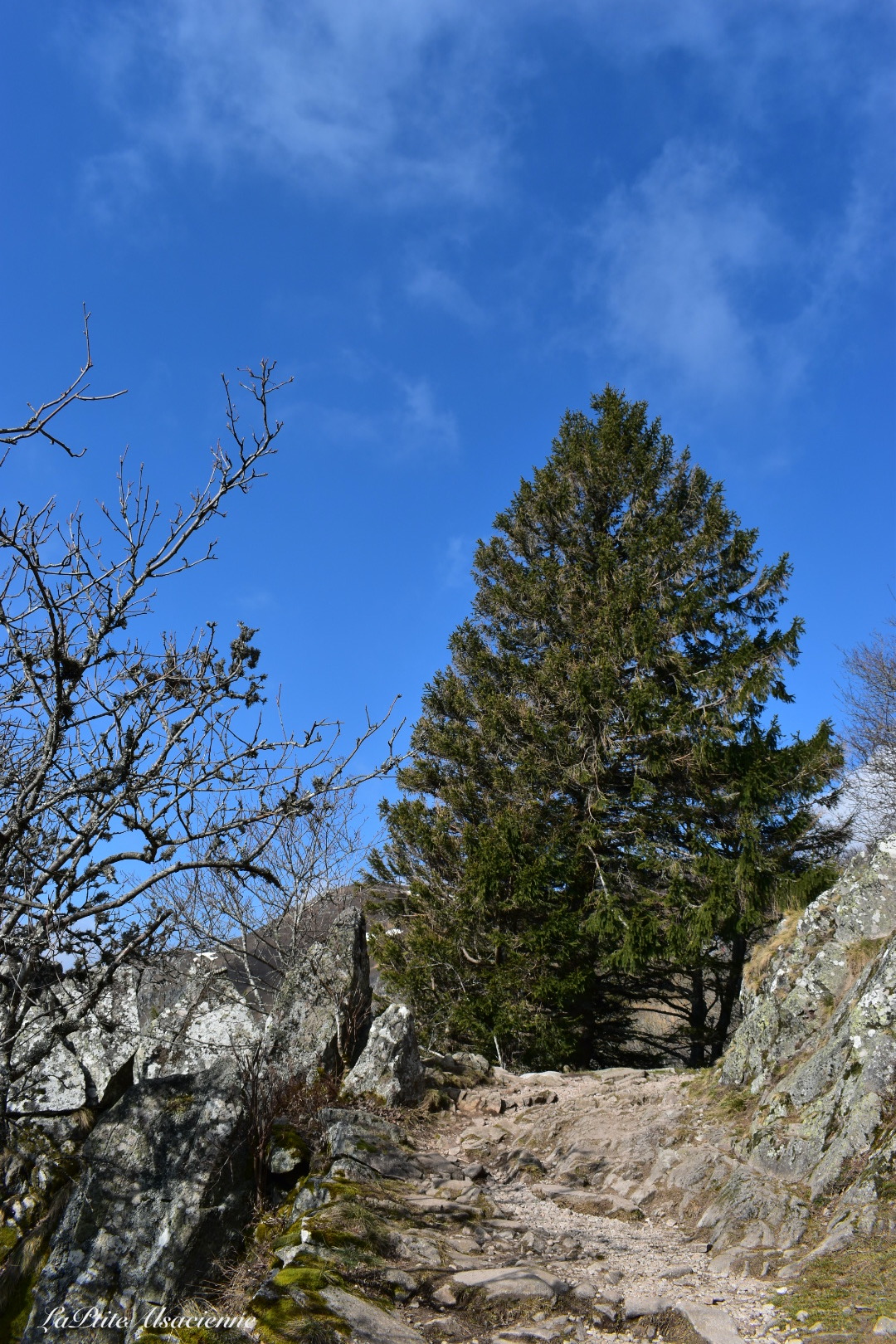 Sentier menant au Petit Hohneck et Hohneck et col du Schaeferthal - Photo by Cendrine Miesch dite LaPtiteAlsacienne