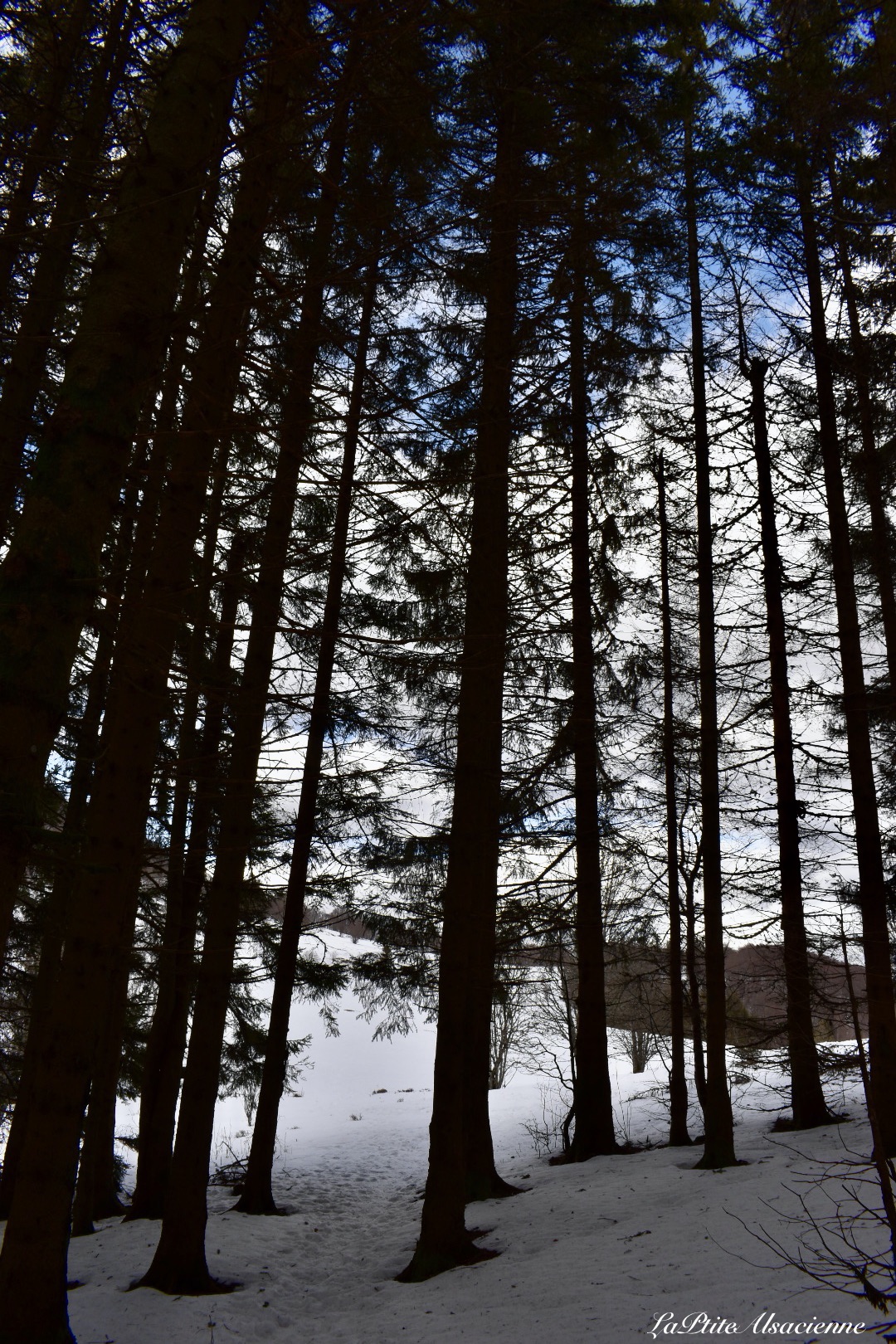 Ebeneck sous neige on voit pas la plaine d Alsace