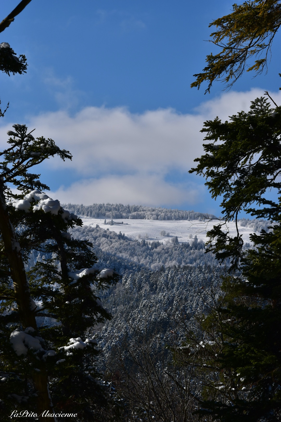 ciel bleu montagne neige murbach janvier 2021