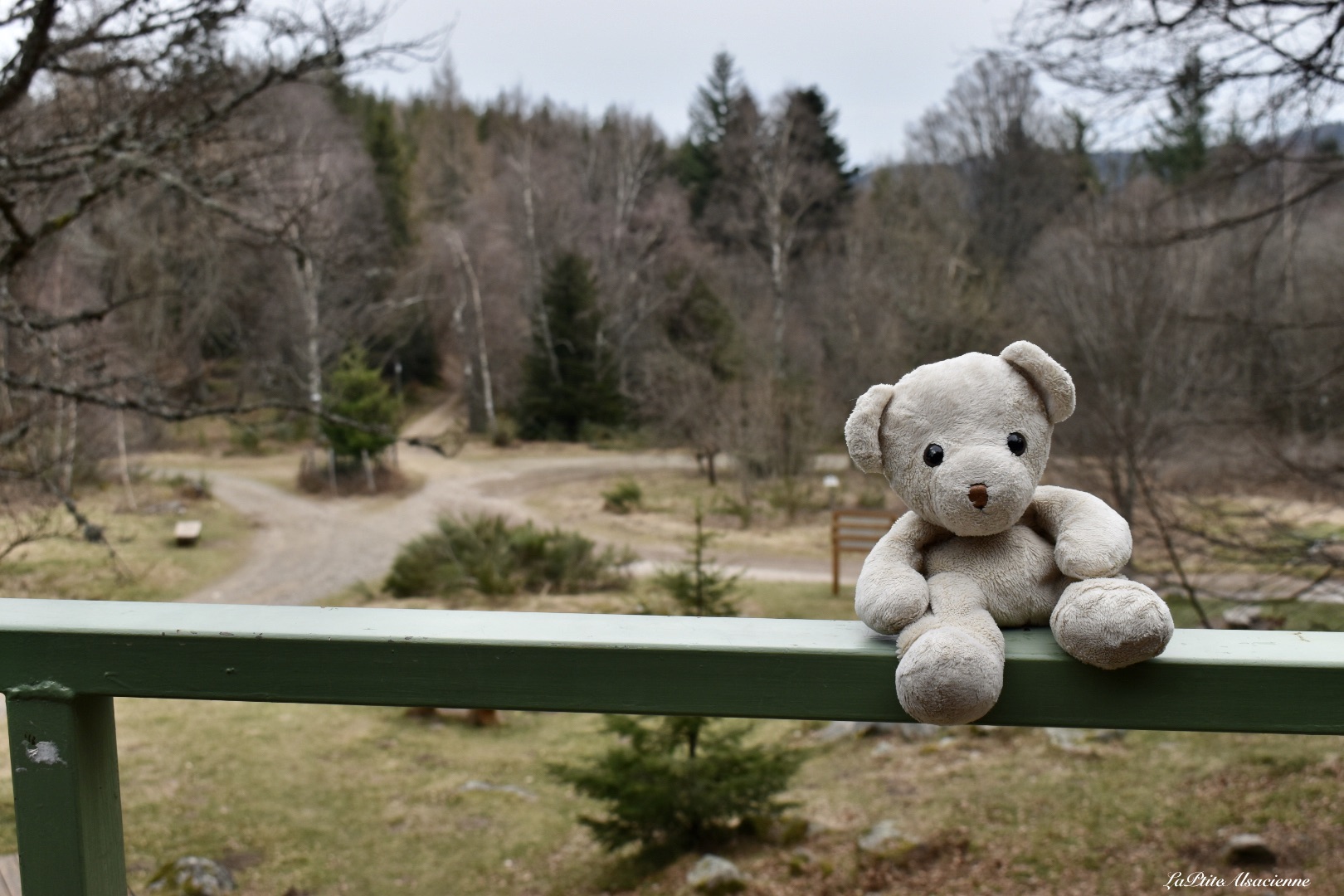 doudou sans nom a l'abri de judenhut