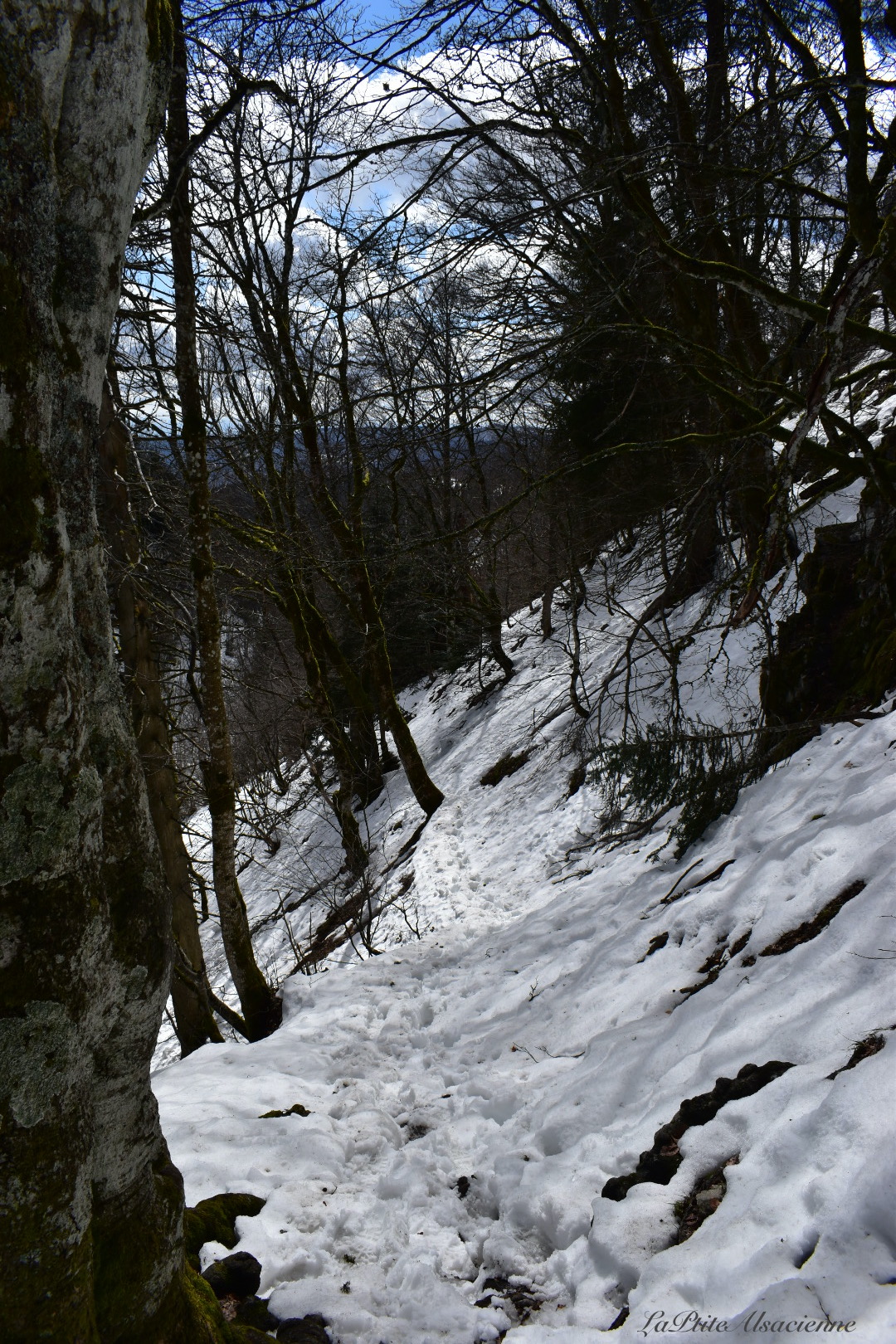 Judenhut Refuge et espace pique nique sous la neige