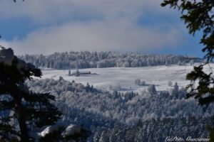 Murbach vue du sentier qui monte au Hohrupf ou au col de la Wolfsgrube