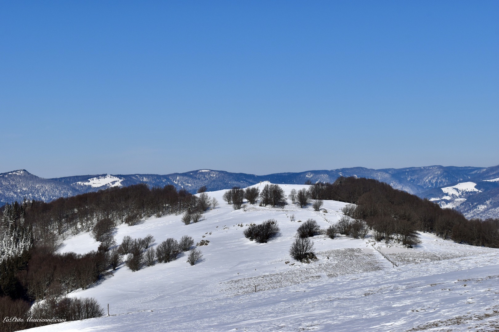 vue sur le vogelstein