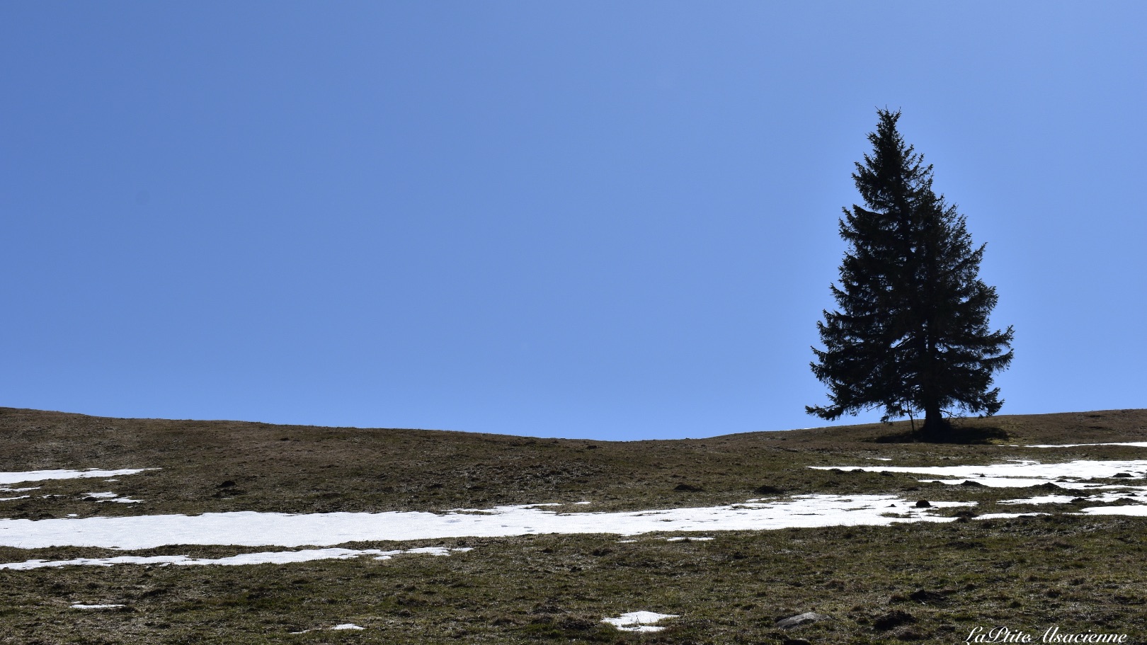 Paysage au dessus du bockwasen