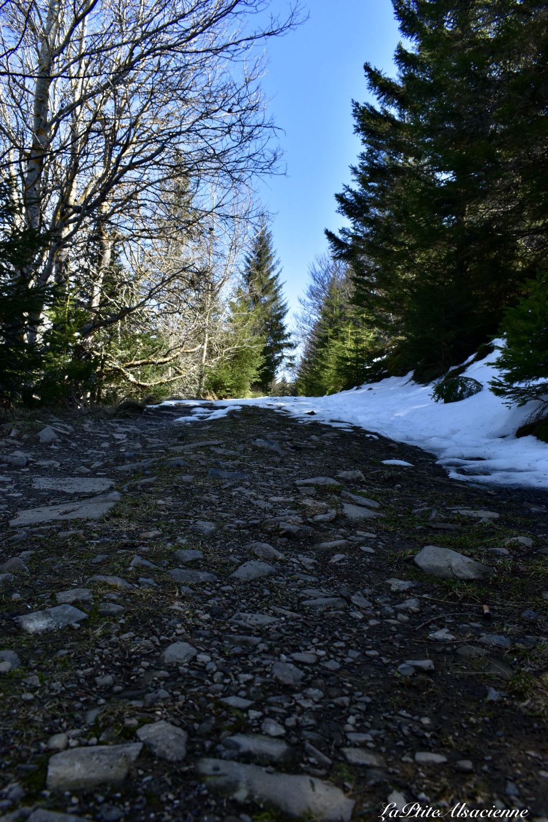 Chemin du Bockwasen vers le Petit Ballon