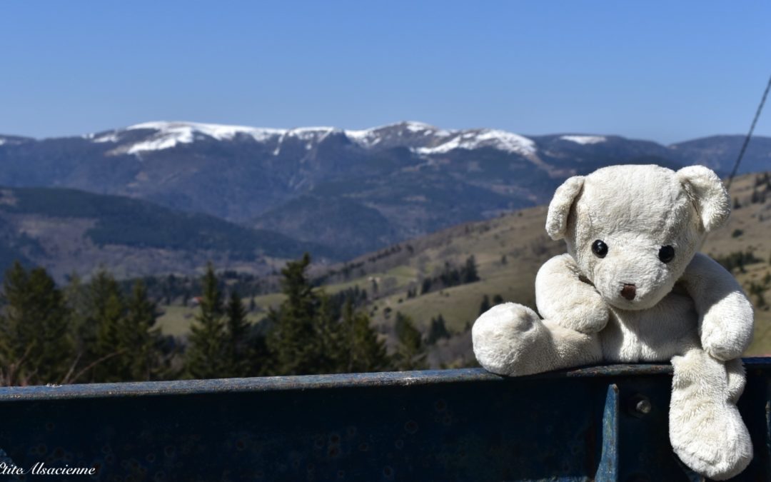 Vue du rothenbrunnen avec Doudou Sans Nom