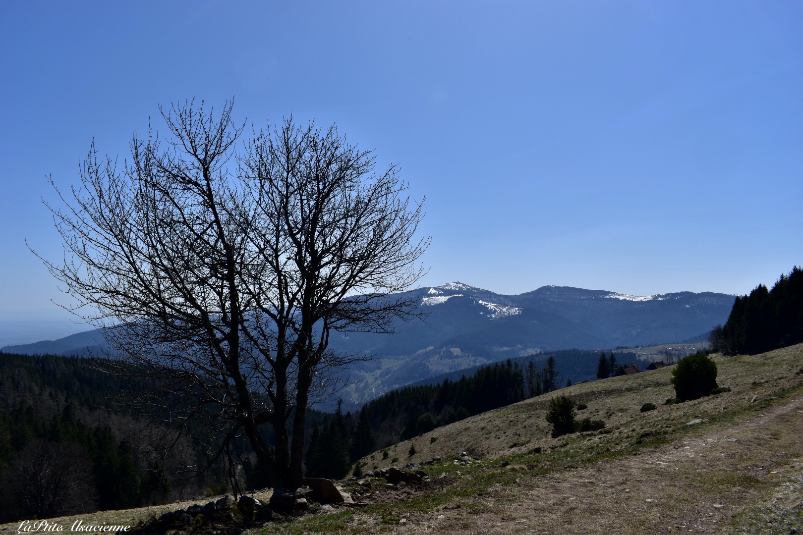 Chemin de retour vers Hilsen