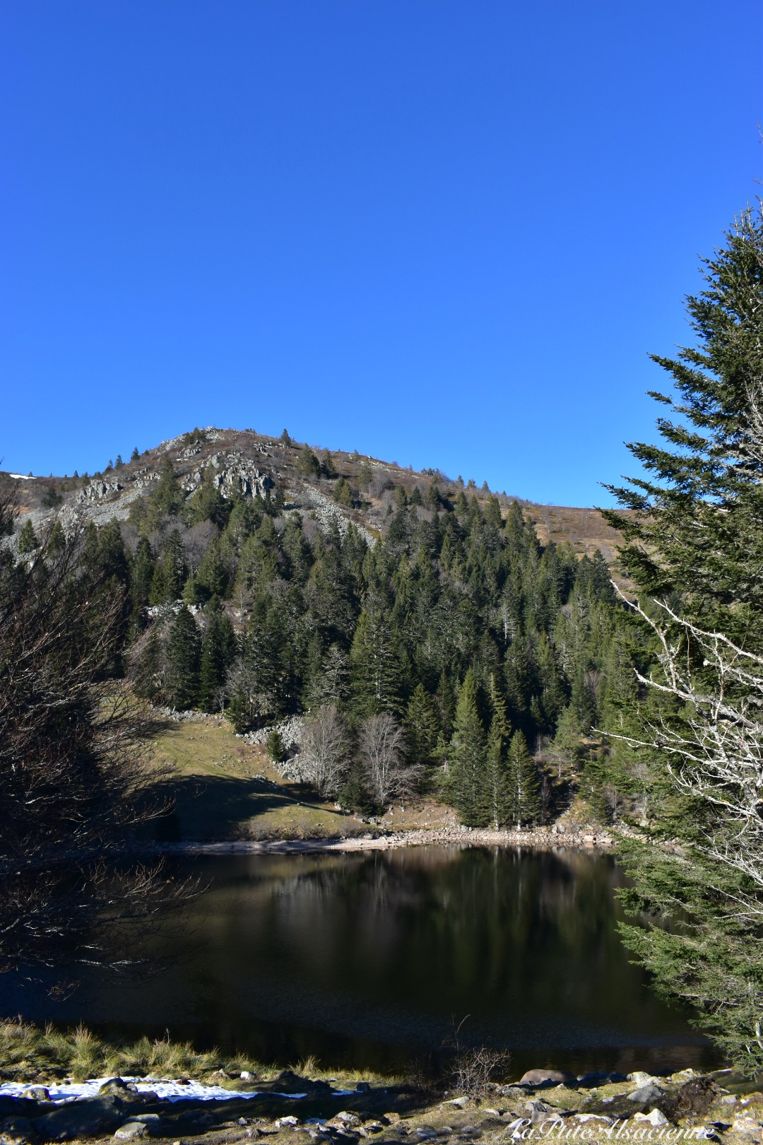 Lac Forlet - Février 2021