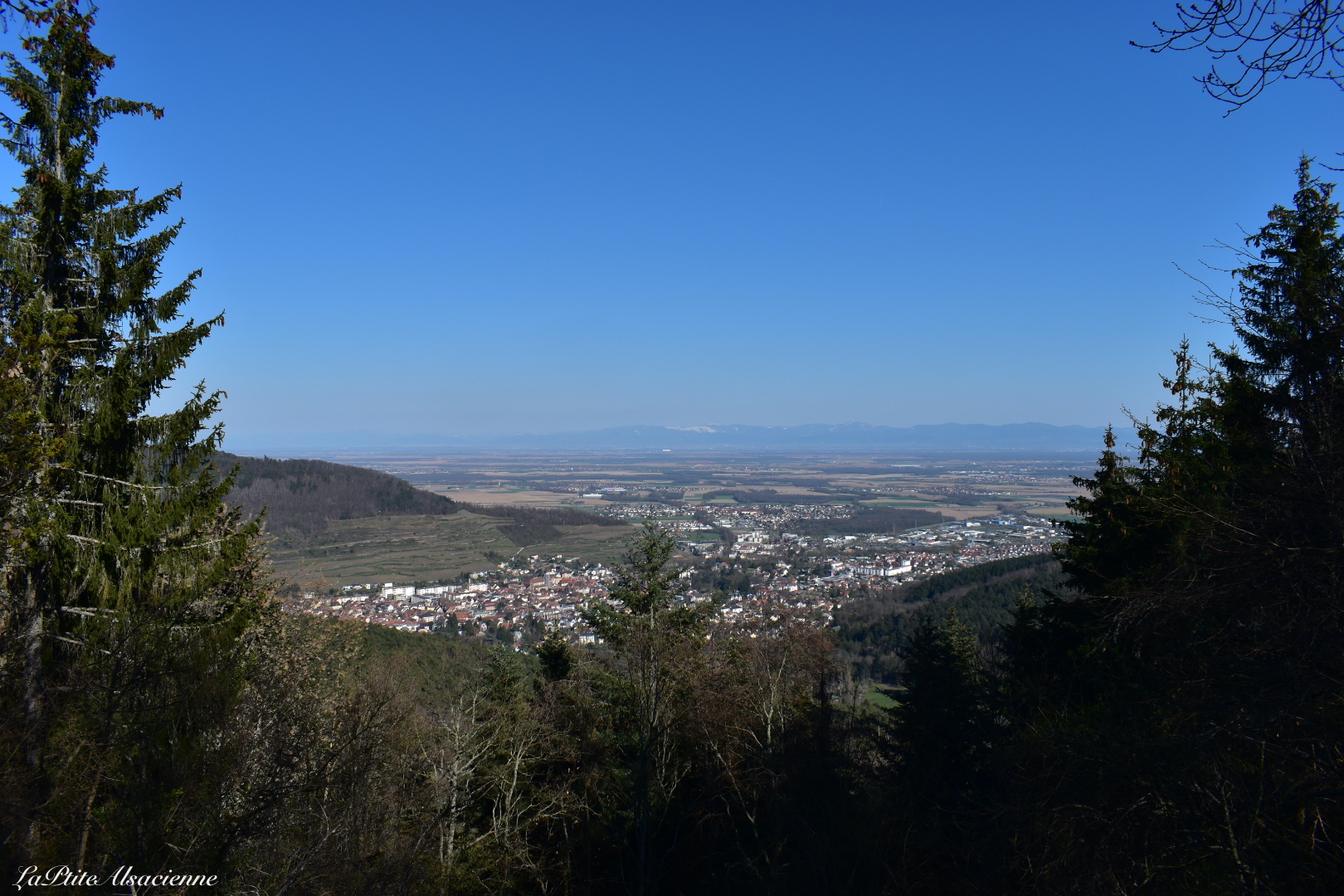 Vue depuis le Rehbrunnenkopf sur Guebwiller et la plaine d'Alsace