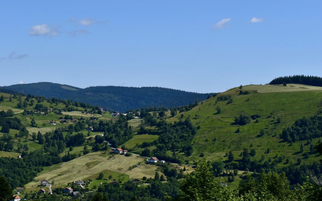 Vue sur les Vosges depuis la Montagne des Lamas à La Bresse - Photo de Cendrine Miesch dite LaPtiteAlsacienne