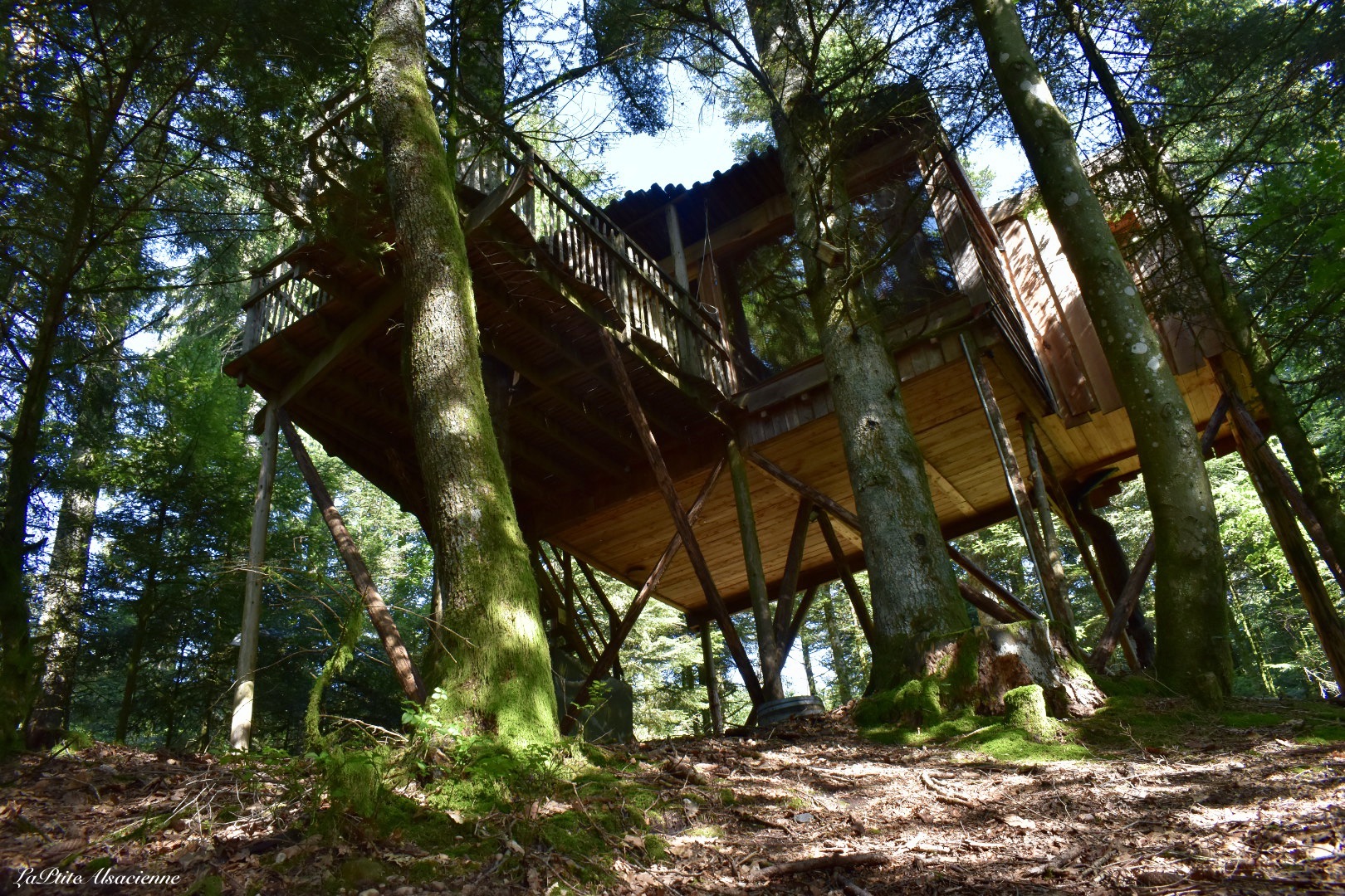 Cabane dans les arbres n°7 Vision - Nids des Vosges - Photo de Cendrine Miesch dite  LaPtiteAlsacienne