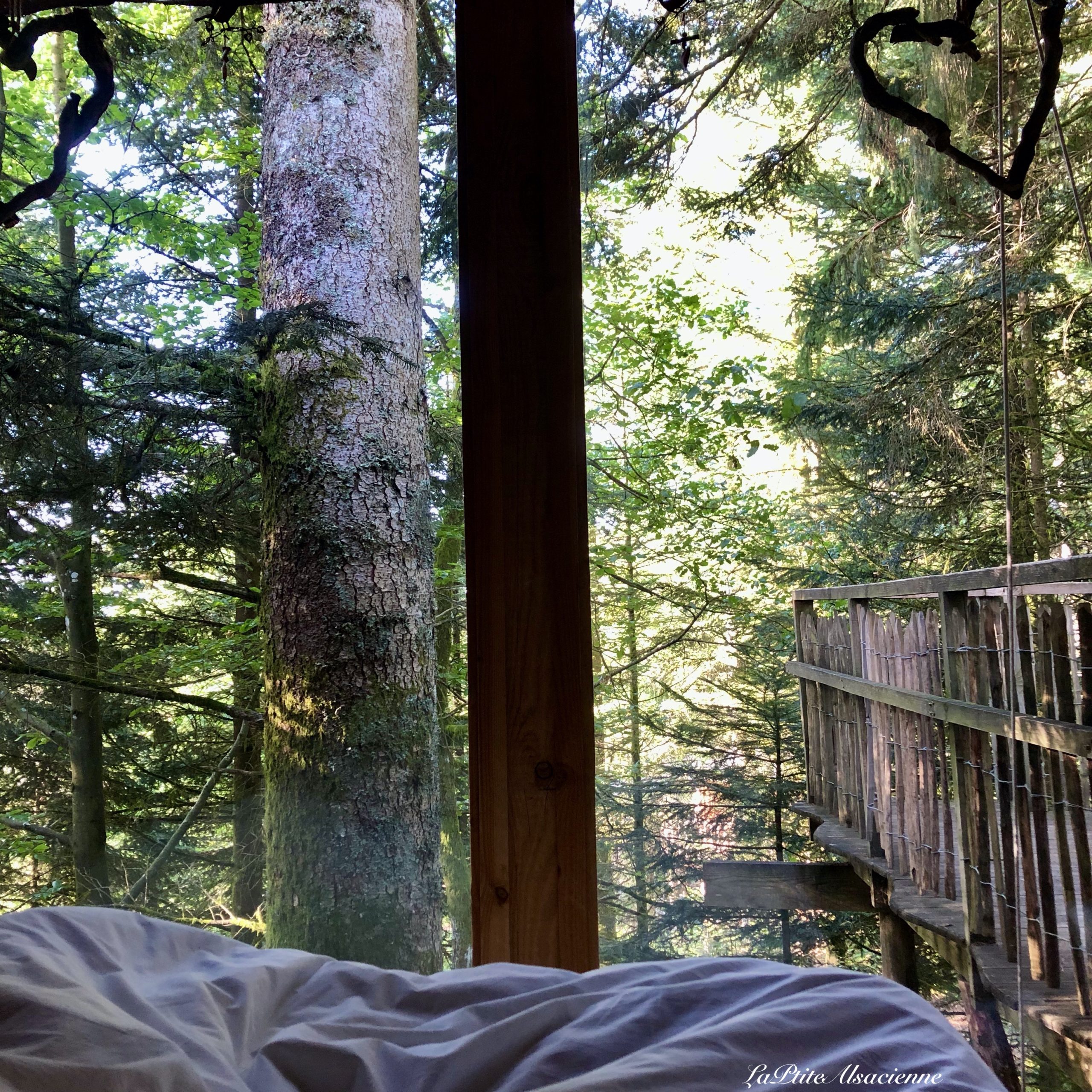 Vue dans les arbres depuis le lit de la cabane vision - n°7 - Nids des Vosges non loin de Gérardmer - Photo de Cendrine Miesch dite LaPtititeAlsacienne