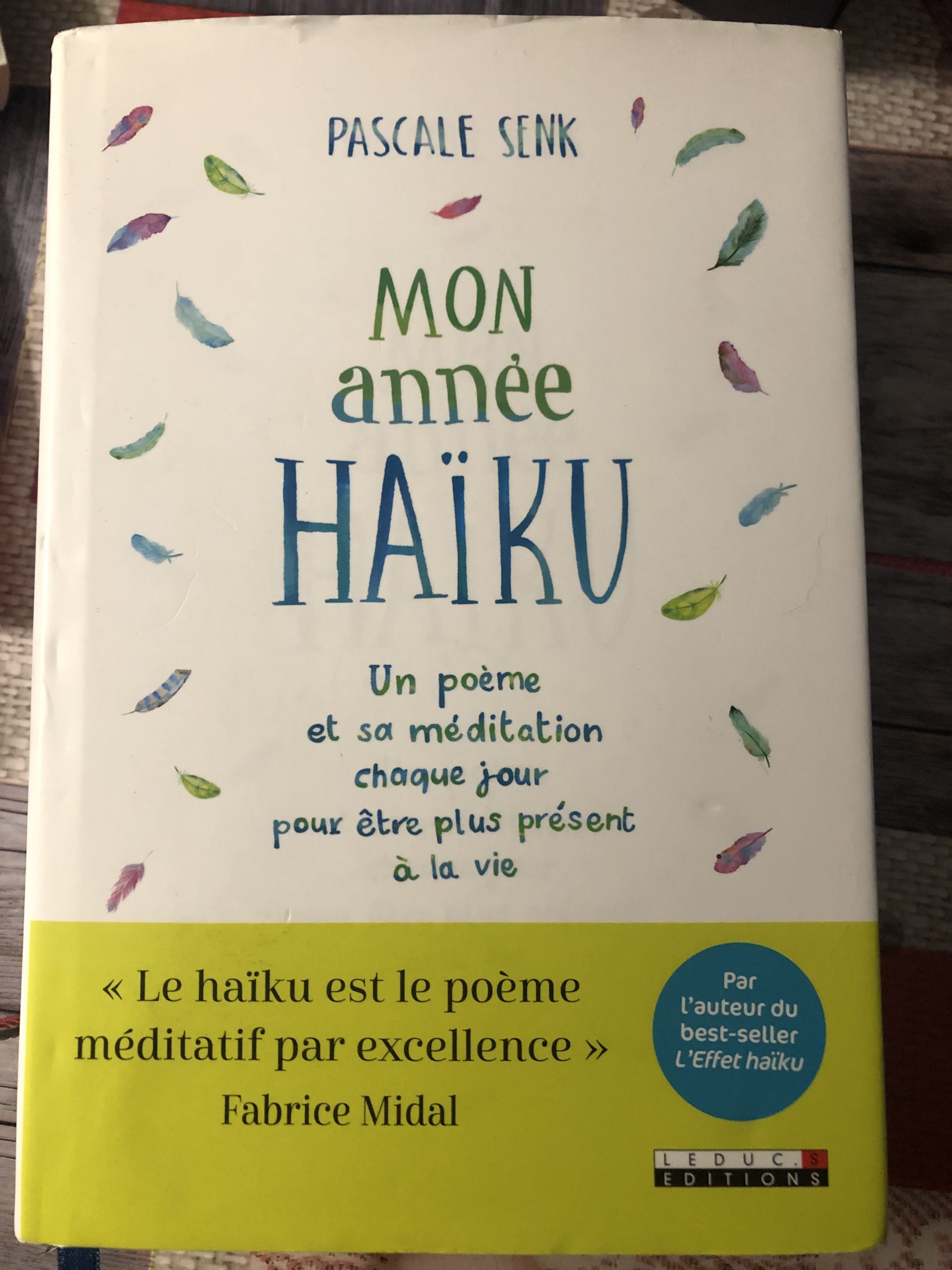 Mon année Haïku de Pascale Senk, Photo de Cendrine Miesch sur le blog de LaPtiteAlsacienne.com