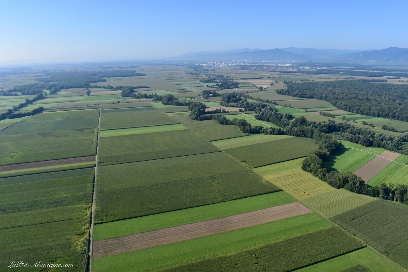 La Plaine d'Alsace et ses champs. Photo prise en ULM - Septembre 2021, par Cendrine Miesch dite LaPtiteAlsacienne