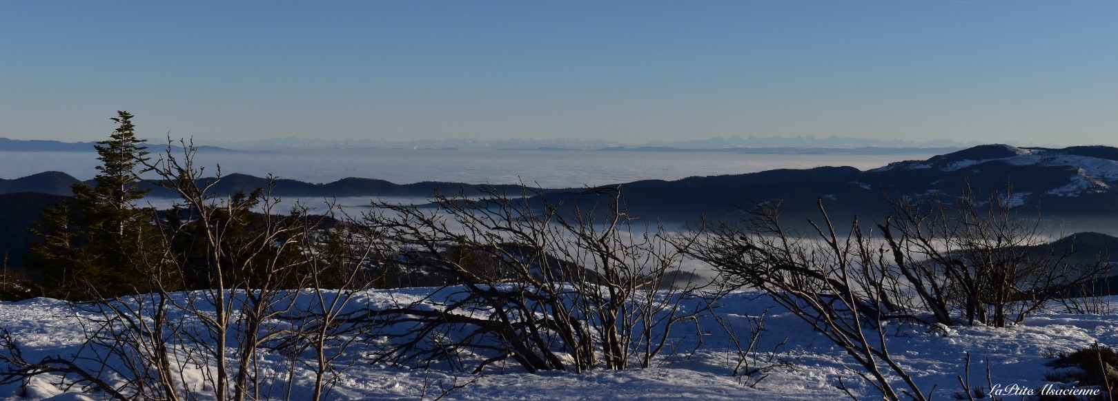 Vue du Gazon du Faing sous la neige - Plaine d'Alsace sous la mer de nuage - Décembre 2021 - Photo de Cendrine Miesch