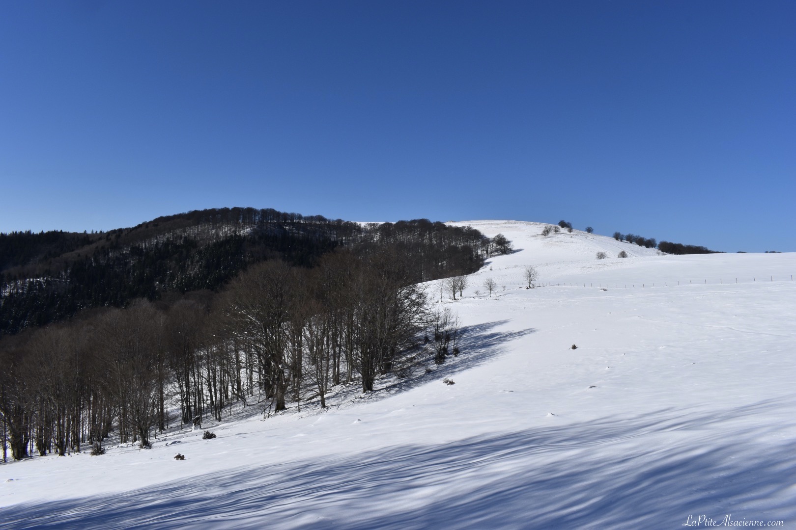 Le rossberg sous la neige - vue depuis la sortie de la forêt venue du col du Hundsruck - Photo Cendrine Miesch