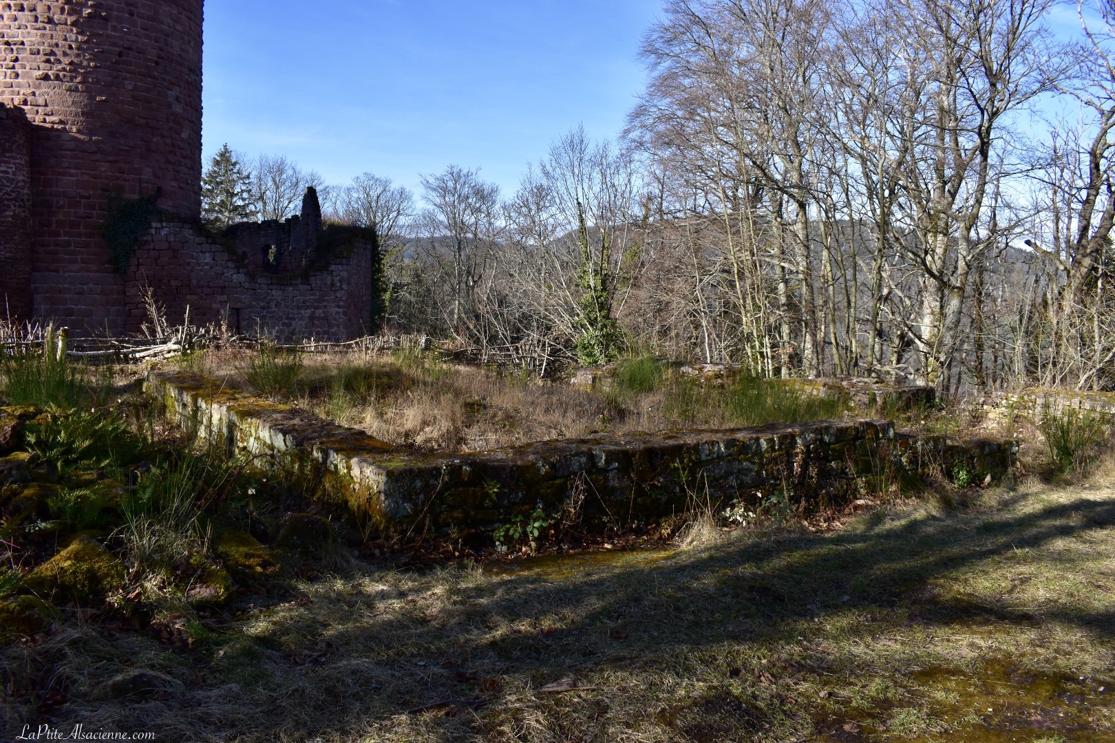 Ruine du château de l'An Mil, entre le Rathsamhausen et le Lutzelbourg - Châteaux forts d'Alsace - Photo de Cendrine Miesch dite LaPtiteAlsacienne