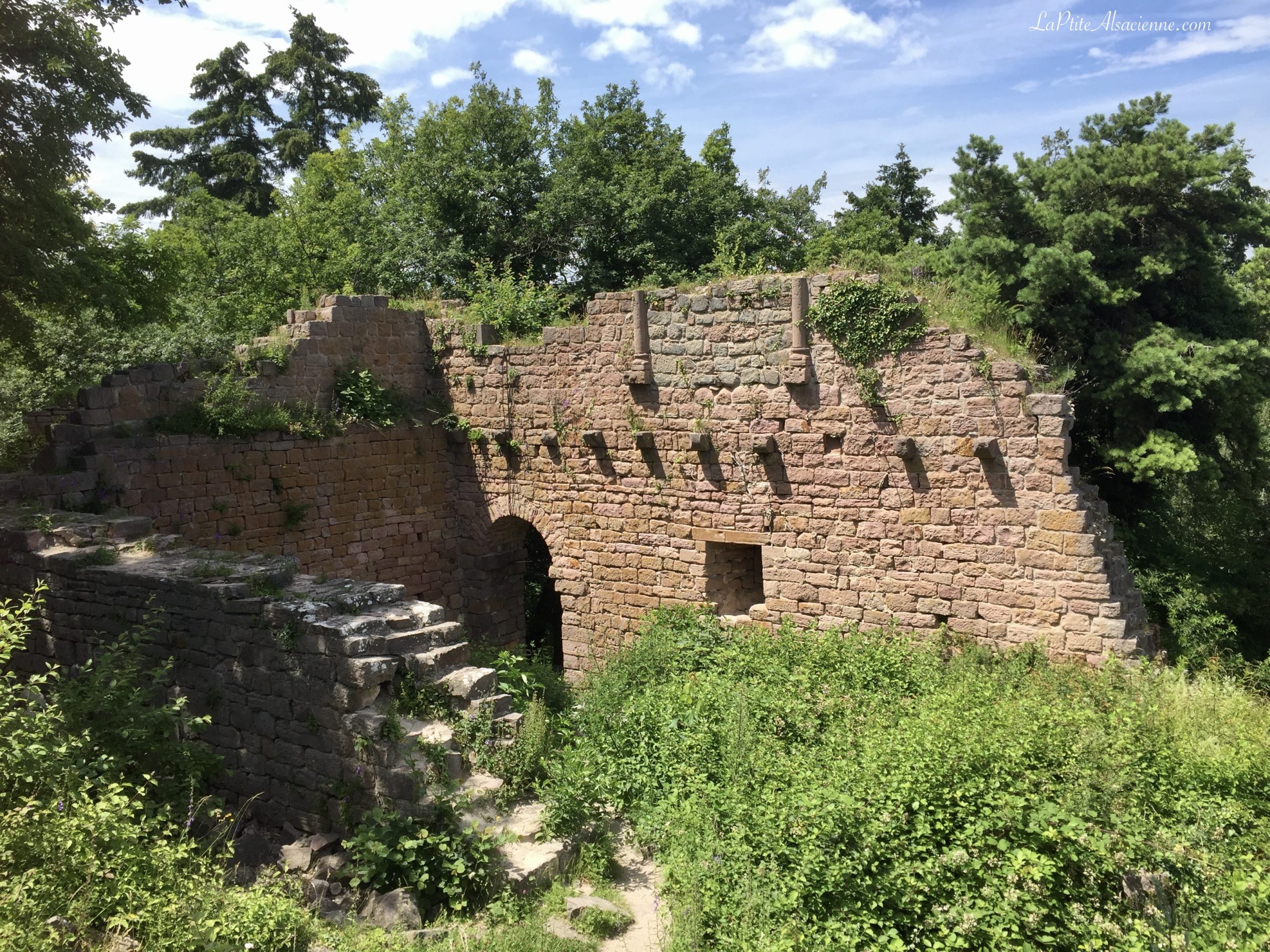 Ruine du Dagsbourg - Les 3 châteaux d'Eguisheim - Photo de Cendrine Miesch