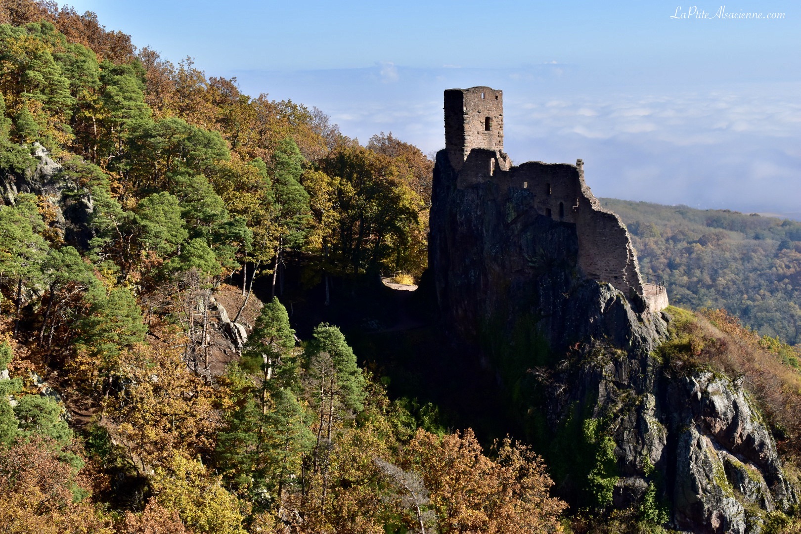 La ruine du Girsberg vue depuis le Saint Ulrich au dessus de Ribeauvillé - Photo de Cendrine Miesch