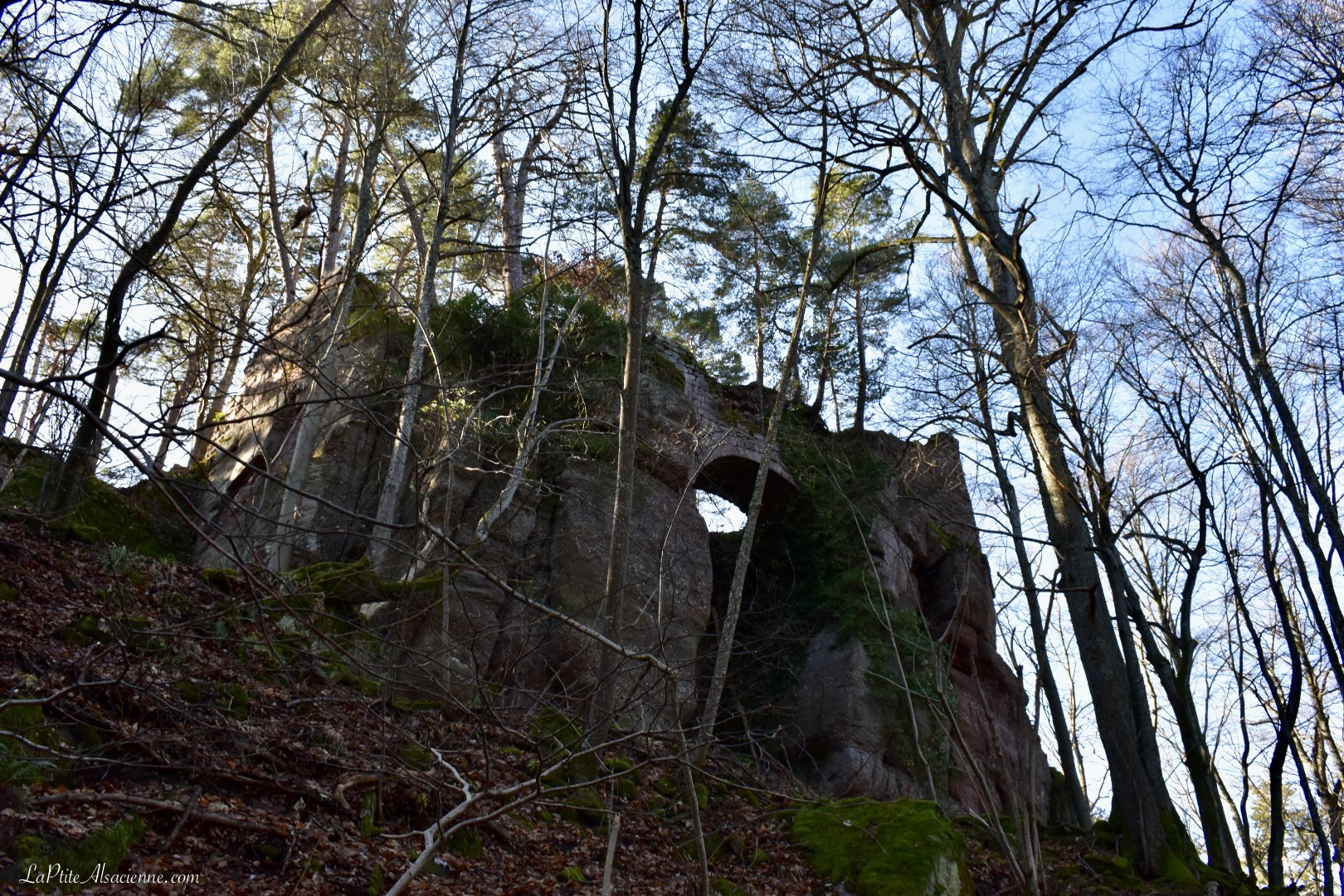 Ruine du Hagelschloss - une montée bien costaud - Photo Cendrine Miesch