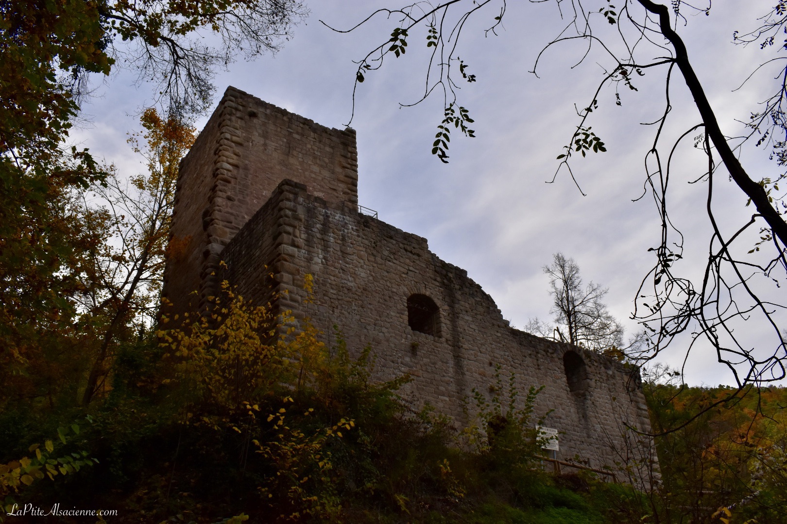 Ruine du Château le Hagueneck à 420m d'altitude - Photo de Cendrine Miesch dite LaPtiteAlsacienne