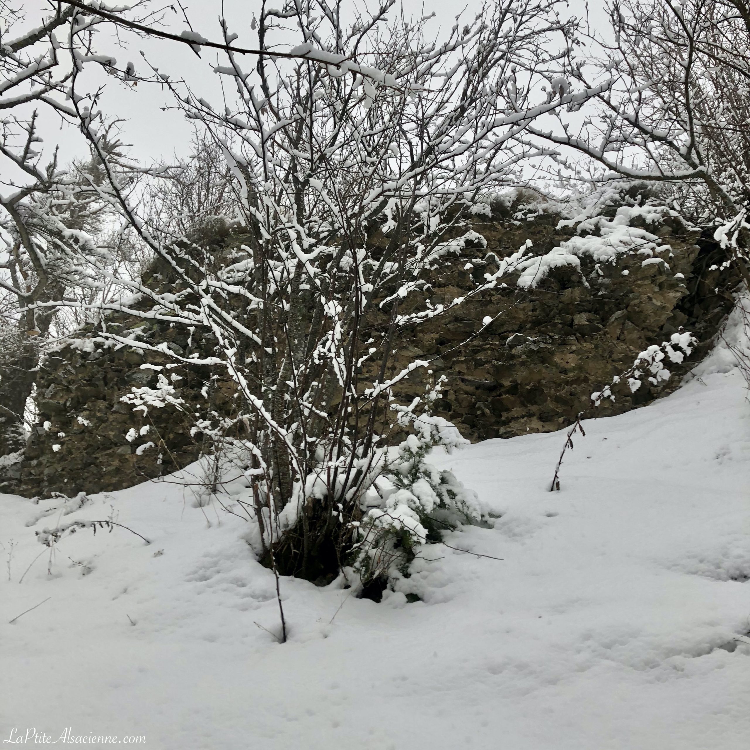 Ruine du Hohrupf sous la neige - Photo de LaPtiteAlsacienne pour l'article sur les châteaux forts en alsace