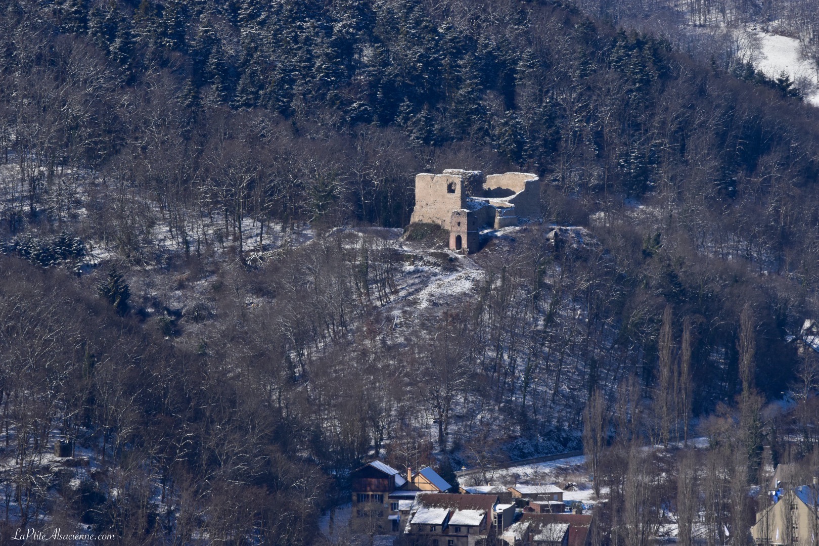 Ruine du Château du Hugstein vu depuis le Vignoble de Guebwiller. Photo de Cendrine Miesch