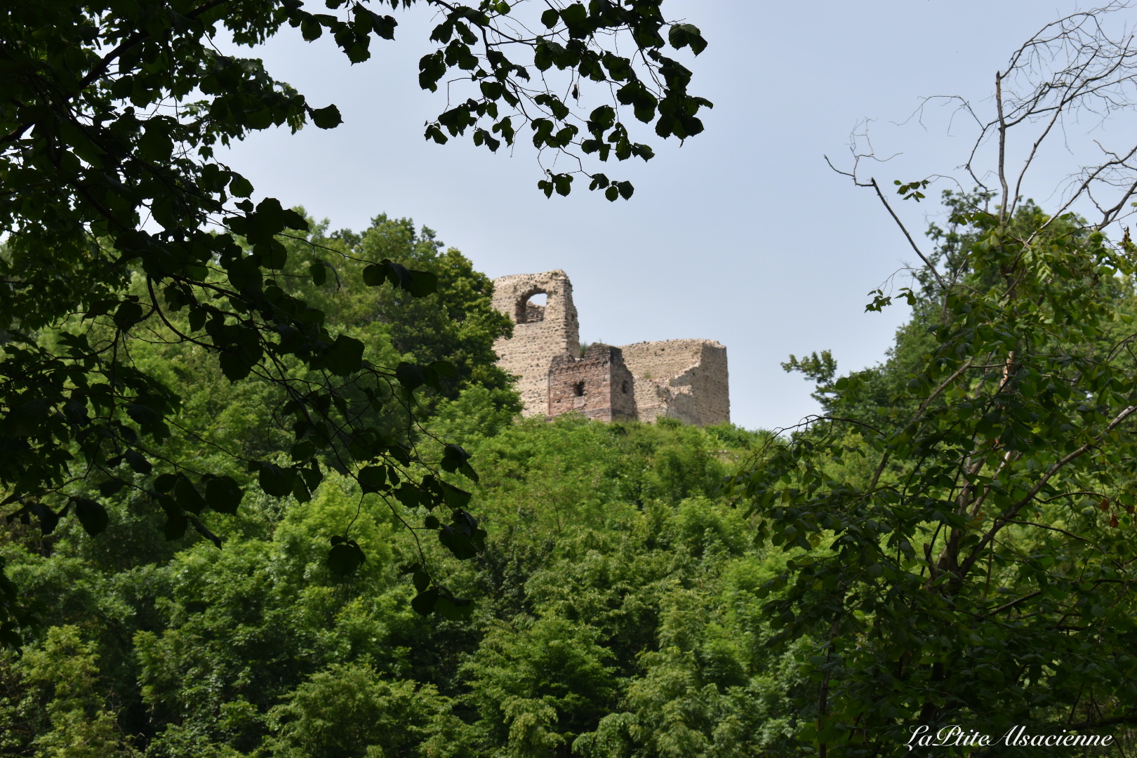 Vue la ruine du château du Hugstein sur les communes de Guebwiller et Buhl - Photo de Cendrine Miesch 