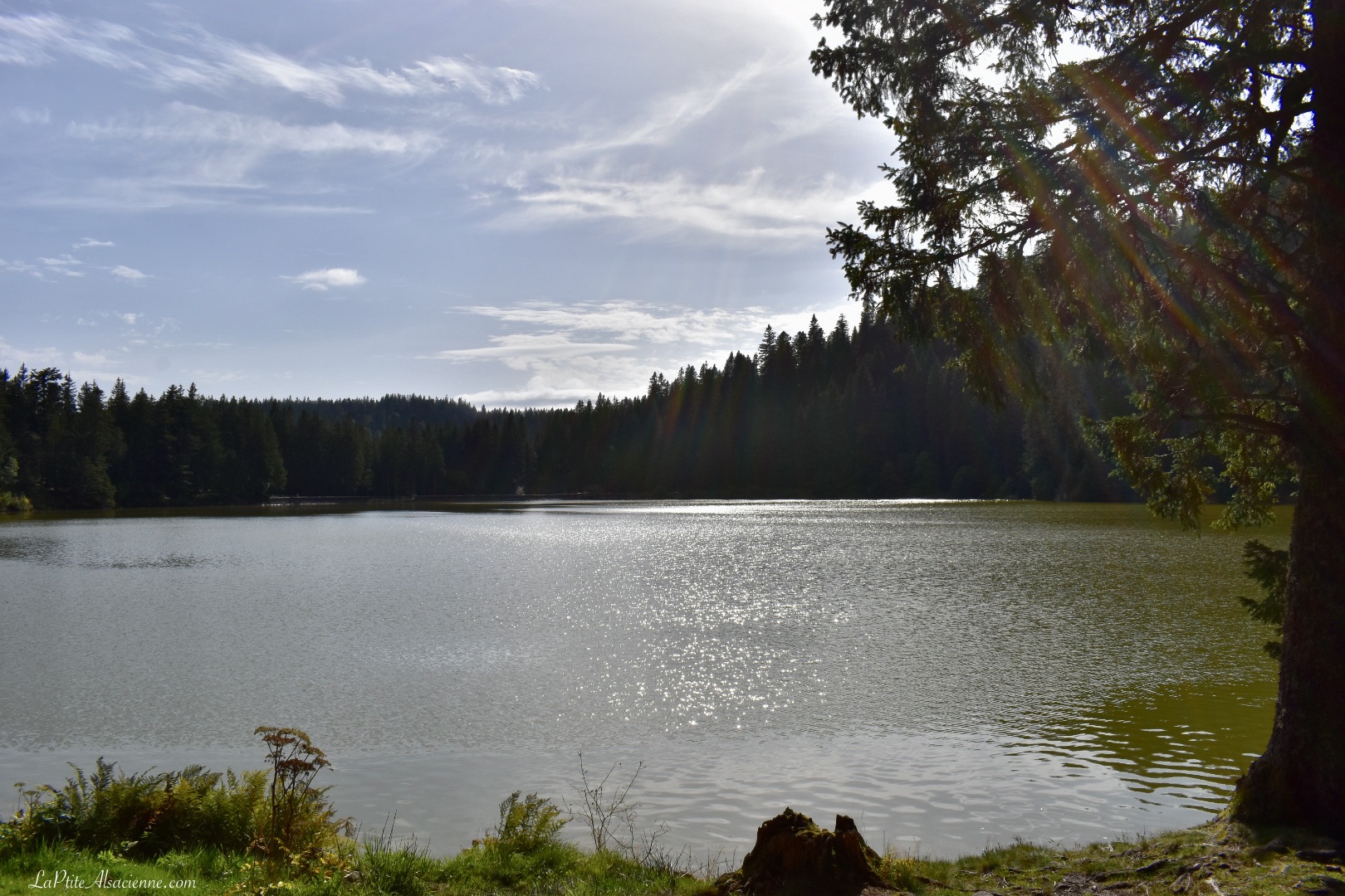 Lac vert sous un rayon de soleil Photo de Cendrine Miesch - Randonner dans les Vosges