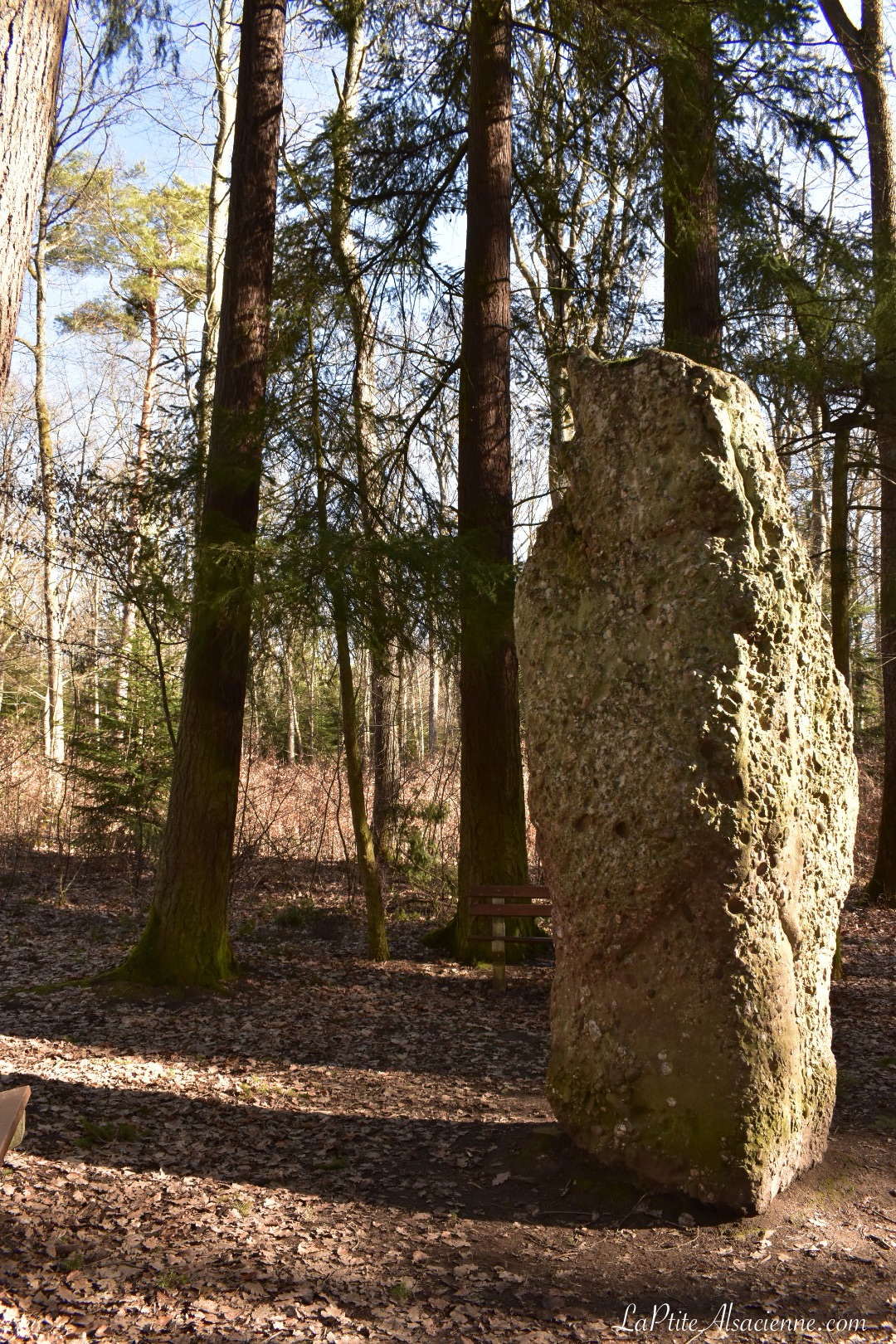 Menhir de la Gauchmatt à Soultzmatt - Photo de Cendrine Miesch
