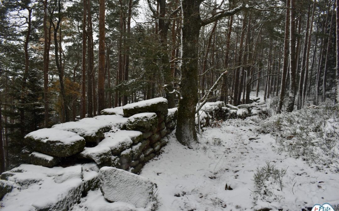 Mur Paien Mont Sainte Odile sous la neige - Photo Cendrine Miesch