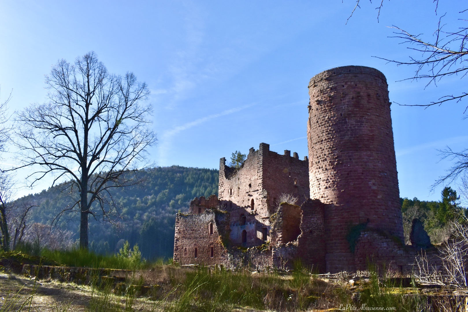 Château du Rathsamhausen - Ottrott - Chateau Fort en Alsace - Photo de Cendrine Miesch dite LaPtiteAlsacienne