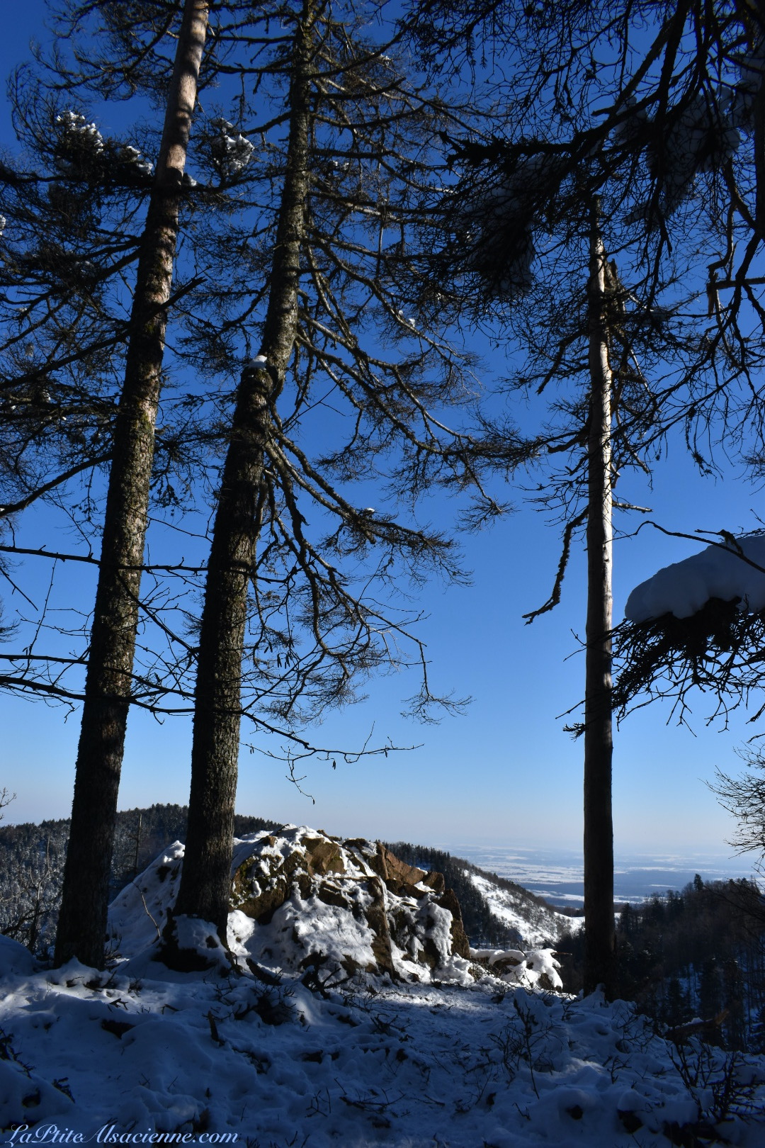 Rocher - Montée vers Thannerhubel Neige au sol et beau ciel bleu et dégagé. Photo de Cendrine Miesch