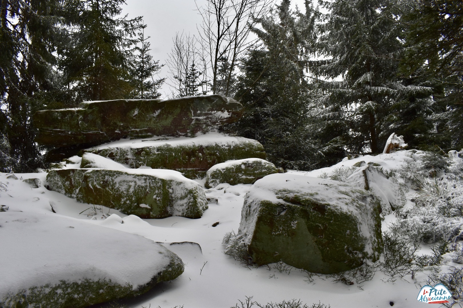 Rocher de la Garde Wachtfelsen sous la neige - Taennchel - Photo Cendrine Miesch