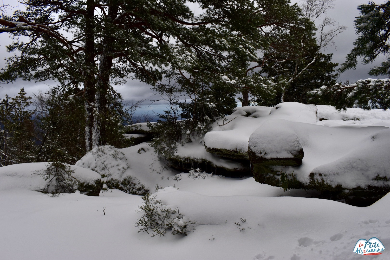 Rocher des Géants sous la neige Thannenkirch - Photo de Cendrine Miesch